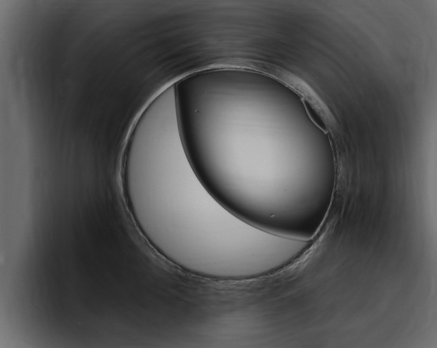 X0000095550908200712140933