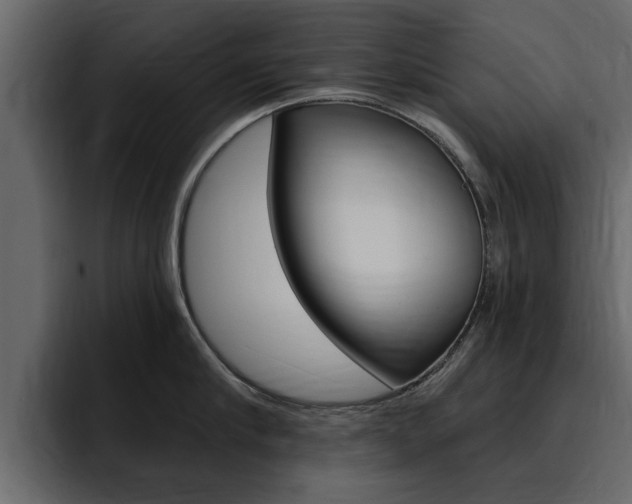 X0000095550910200712140933