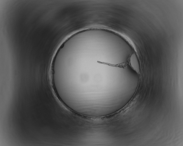 X0000095550911200712140933
