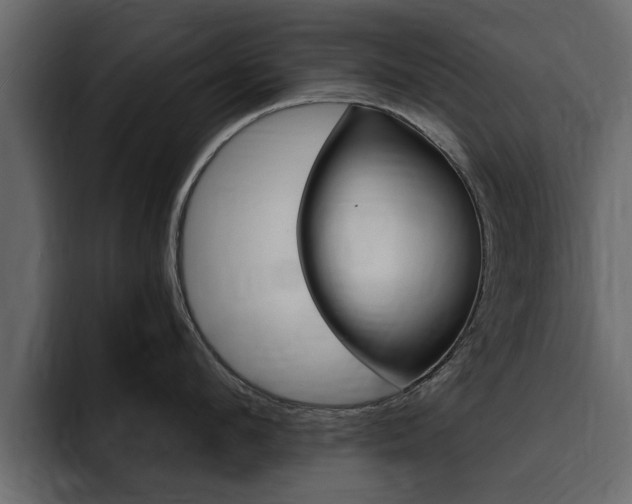 X0000095550912200712140933