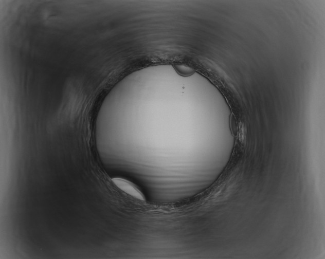 X0000095550915200712140932