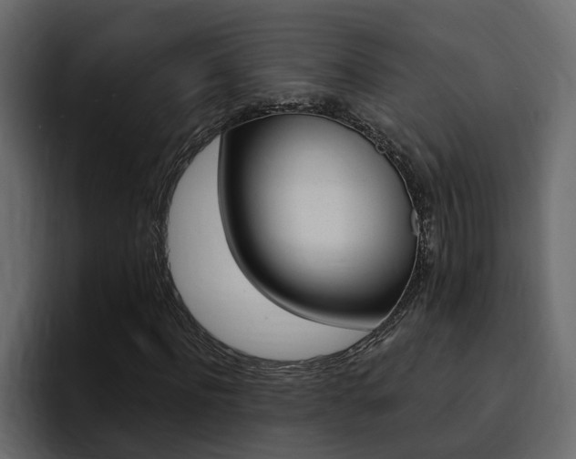 X0000095550916200712140932