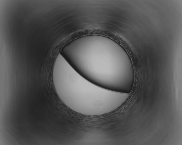 X0000095550919200712140932
