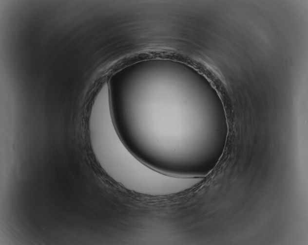 X0000095550920200712140932