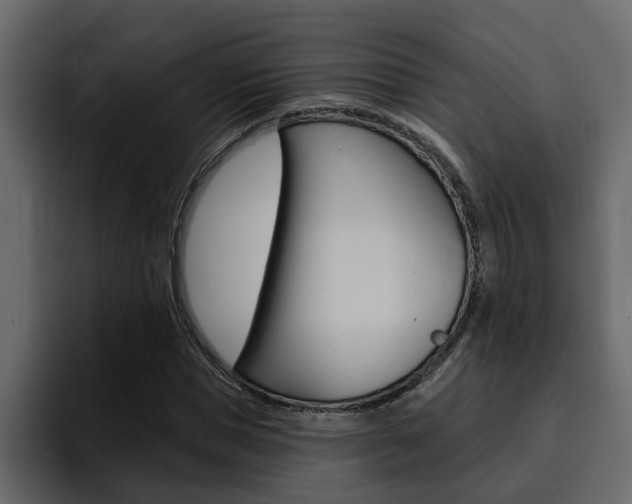 X0000095550921200712140932