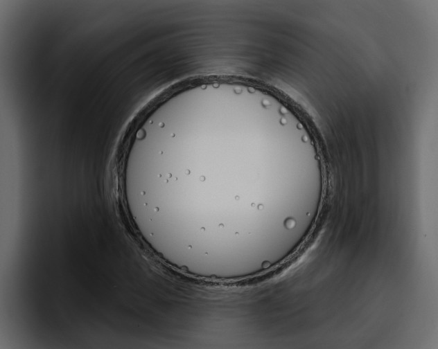X0000095550925200712140932
