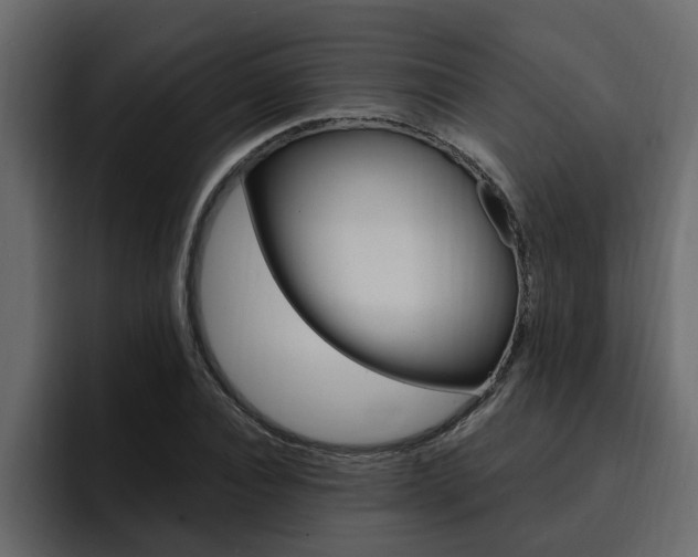 X0000095550928200712140932