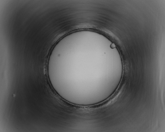 X0000095550929200712140932
