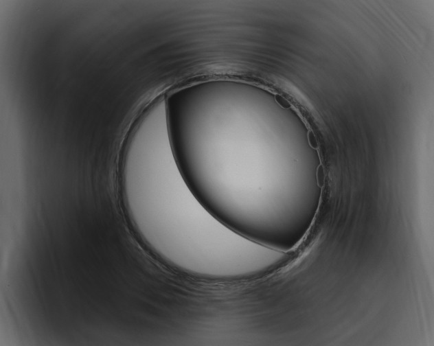 X0000095550930200712140932