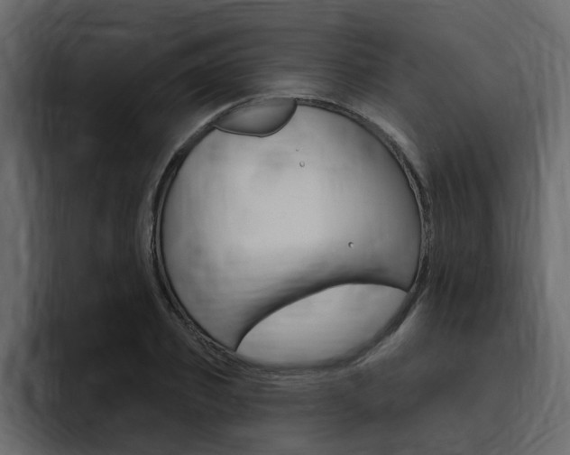 X0000095550933200712140932