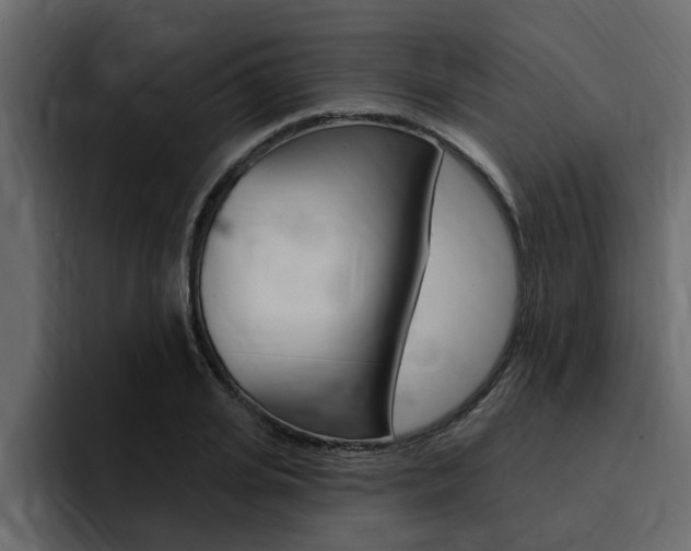 X0000095550935200712140932