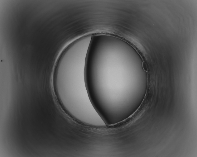 X0000095550936200712140932