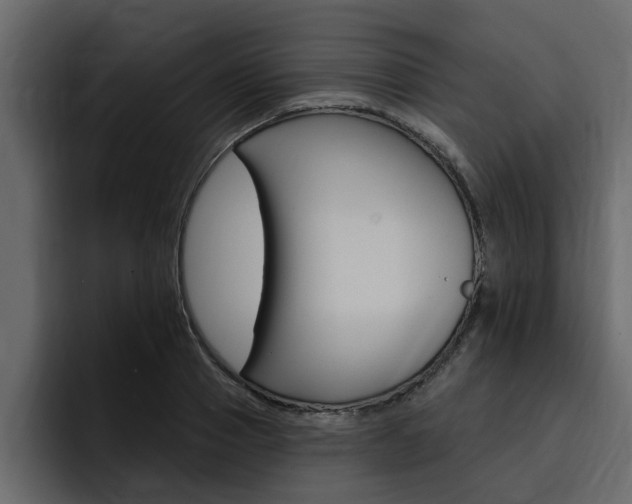 X0000095550937200712140932
