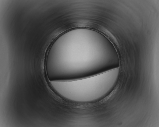 X0000095550938200712140932