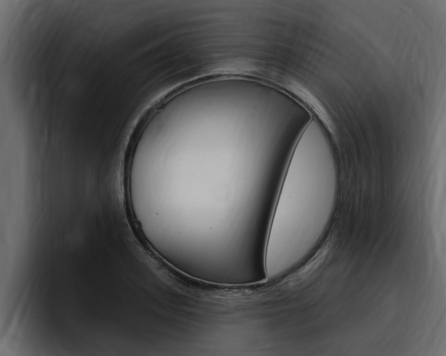X0000095550939200712140932