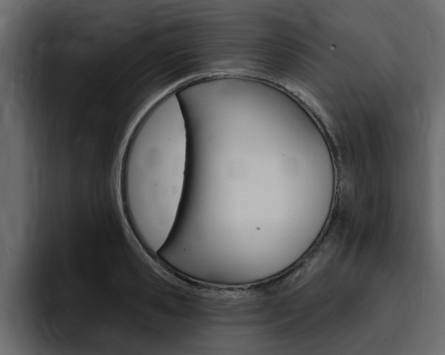 X0000095550941200712140932