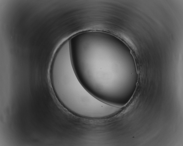 X0000095550944200712140932