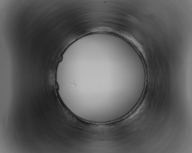 X0000095550945200712140932