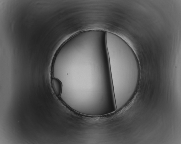 X0000095550949200712140933
