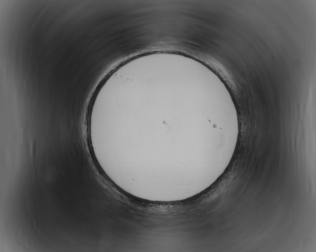 X0000095550950200712140933