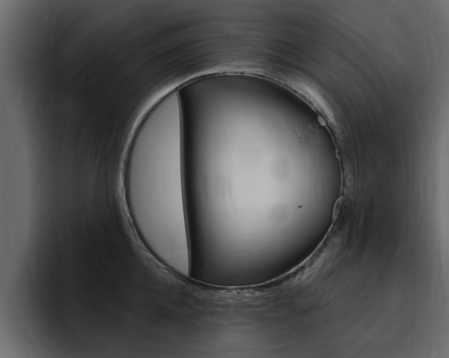 X0000095550952200712140933