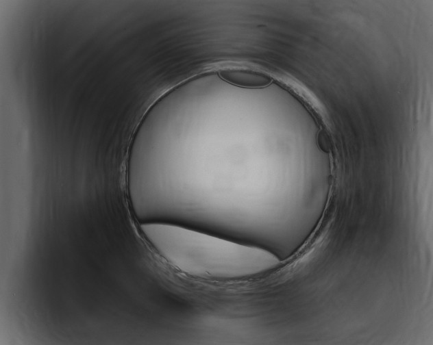 X0000095550953200712140933