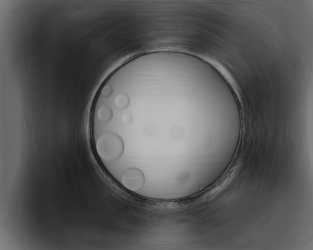 X0000095550957200712140933