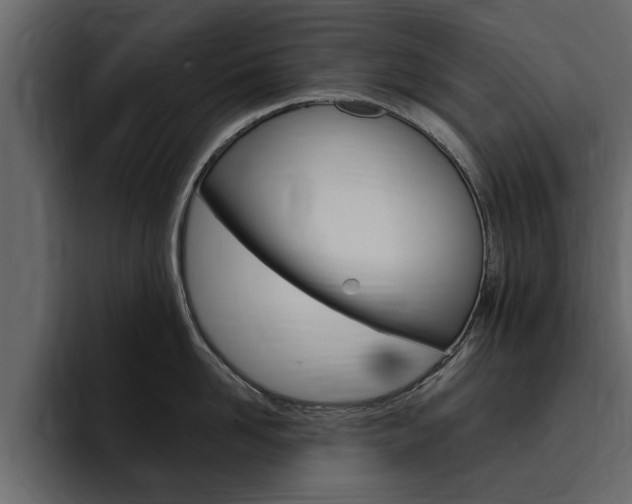 X0000095550958200712140933