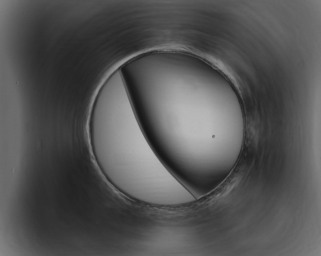 X0000095550959200712140933