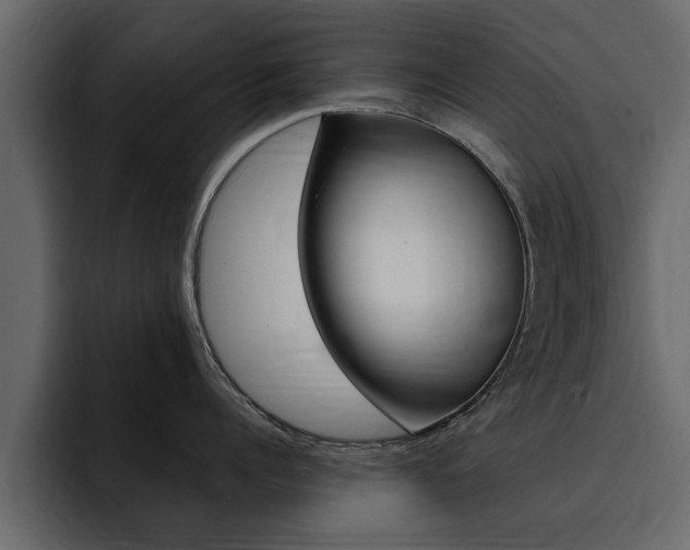 X0000095550960200712140933