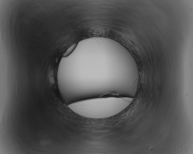 X0000095550962200712140932