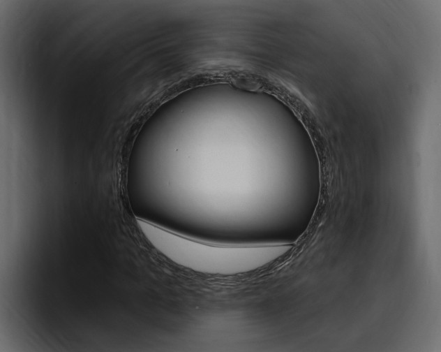 X0000095550965200712140932