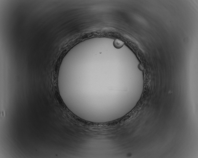 X0000095550966200712140932