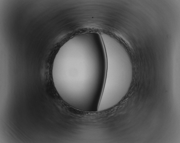 X0000095550968200712140932