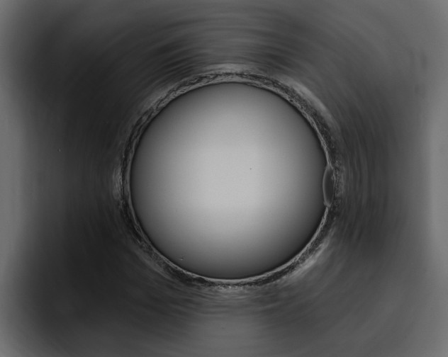 X0000095550969200712140932