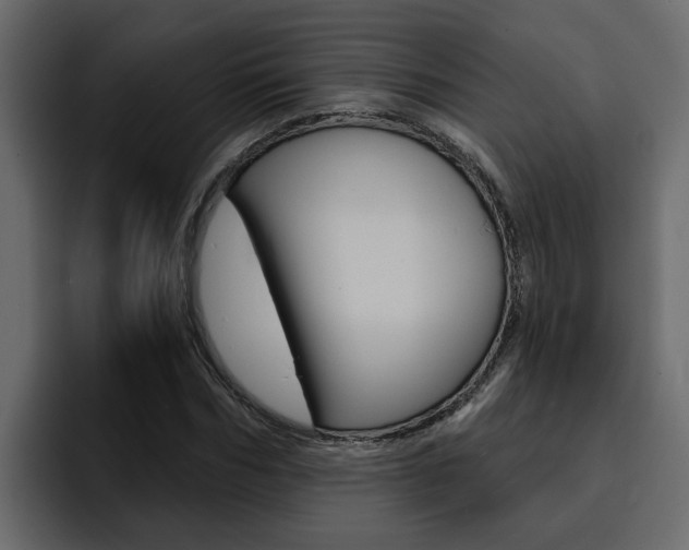 X0000095550970200712140932