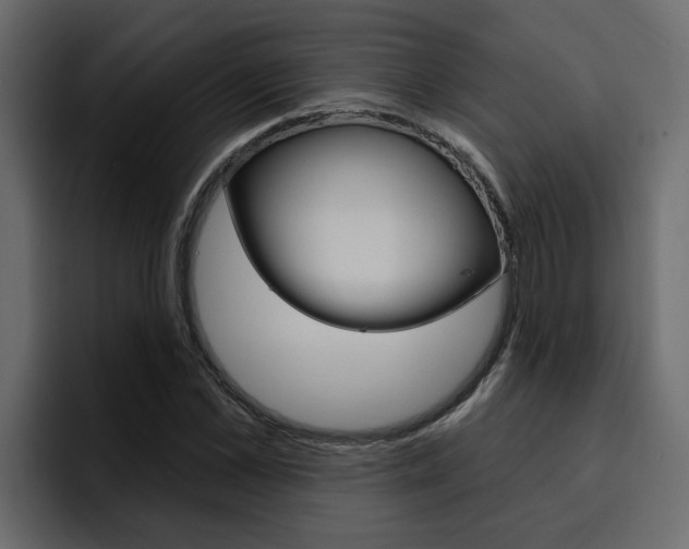 X0000095550973200712140932