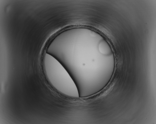 X0000095550974200712140932