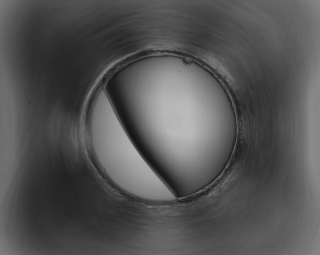 X0000095550976200712140932