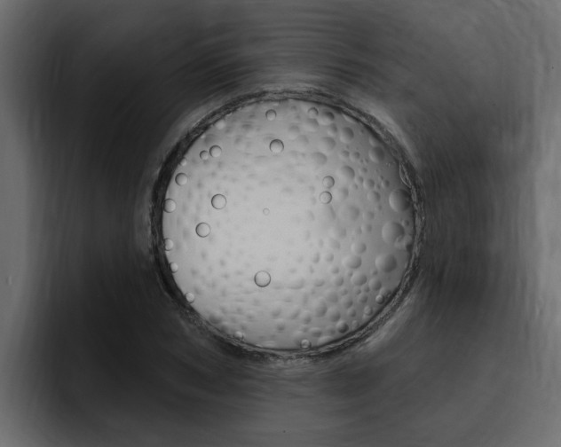 X0000095550978200712140932