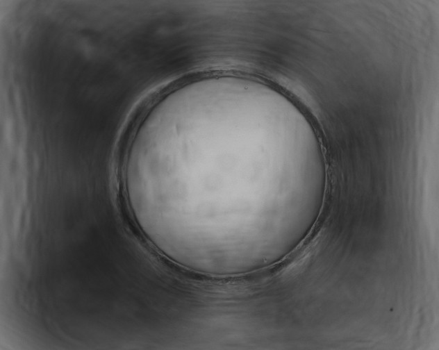 X0000095550979200712140932