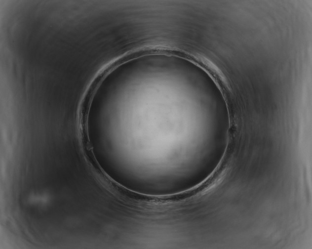 X0000095550981200712140932