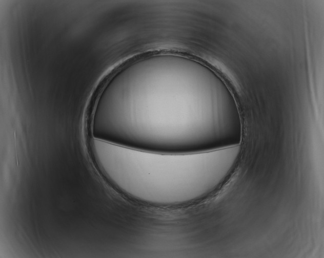 X0000095550983200712140932