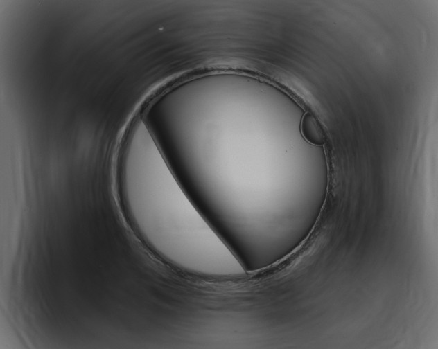 X0000095550984200712140932