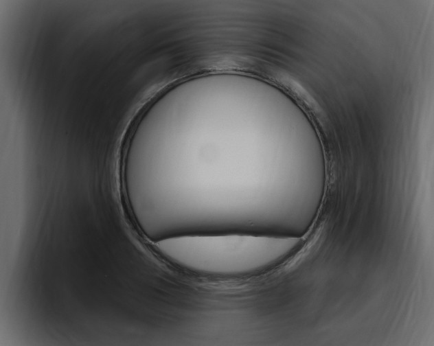 X0000095550986200712140932