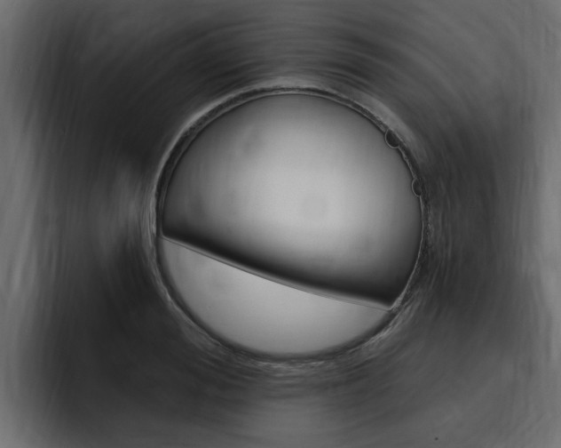 X0000095550988200712140932