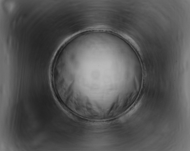 X0000095550989200712140932