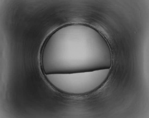 X0000095550990200712140932