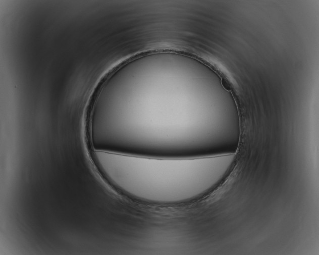X0000095550991200712140932