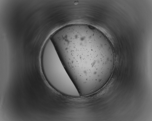 X0000095550998200712140932